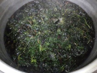 赤紫蘇