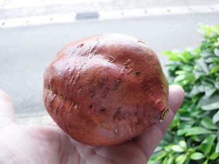 栗が・・・！