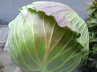 来季、来月のテーマです。 2012/02/28 23:59:03