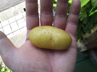 来月のテーマです。 2012/05/28 12:09:31