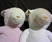 羊のメルくん 2008/11/05 00:06:47