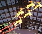 フラワーパーク 2008/12/23 17:07:51