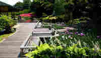 紅葉山庭園の花菖蒲、サツキは今が見ごろ 2007/05/31 23:28:21