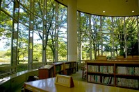 緑の中の図書館
