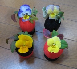 ひまわりミーティング