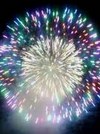 花火だぁ～