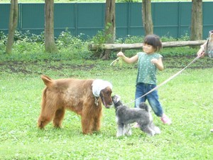 朝霧爆走オフ会