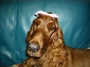 Present for you!!