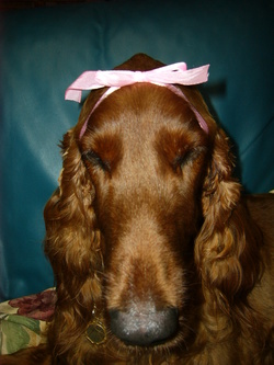 Present for you!!