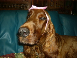 Present for you!!