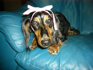 Present for you!!