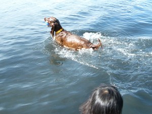海～♪