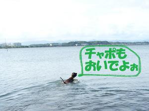 海～♪