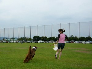 お散歩に☆