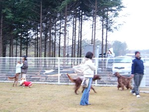 アイリッシュオフ会　in那須