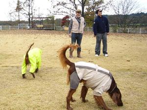 アイリッシュオフ会　in那須