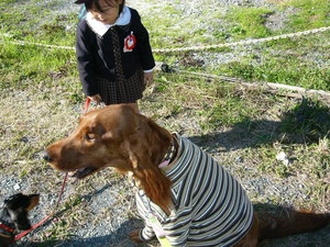 幼稚園まで