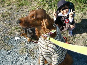 幼稚園まで