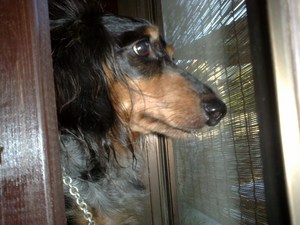 仕事中でございます