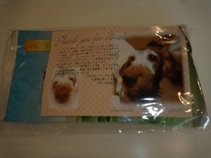 Cuccioloさんへ行きました！