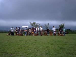 朝霧爆走オフ会