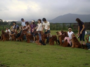 朝霧爆走オフ会