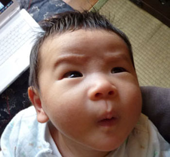 子育ての家、公開！