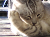 よく来るお客さん！？ 2009/02/15 13:52:58