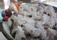 肉体改造・・・・