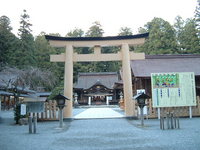 報告です