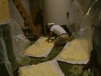 留掛米を冷やす 2007/10/11 18:50:19