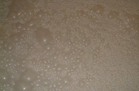 仕込１号の 2007/10/11 18:59:44