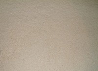 仕込１号の泡 2007/10/12 17:58:01