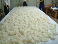 麹室で蒸米を広げる 2007/09/29 18:04:25