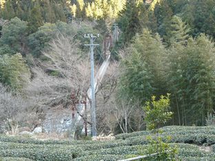 吊り橋