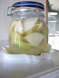りんご酵母　2011