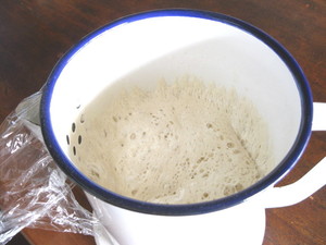 りんご酵母　2011