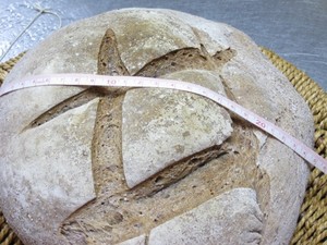 やぶ苺で　Ｍｙ酵母を