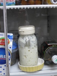 やっぱりヨーグルト酵母は耐寒性だ～♪