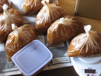 今年も一年もの味噌の出来あがり♪