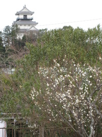 3月1日