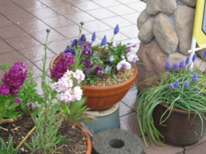 雨降りの日曜カフェ♪