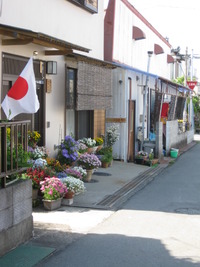 五月日和