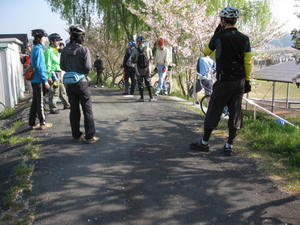 　桜の原野谷川　朝ポタリング♪　