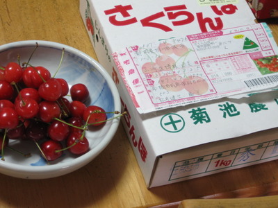 うれしいいただきもの！