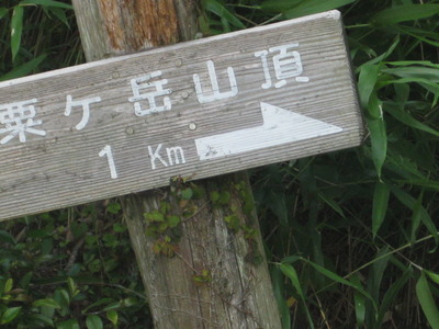 さあ～！ここからが大変 ！