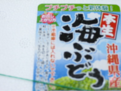 海ぶどう人気♪