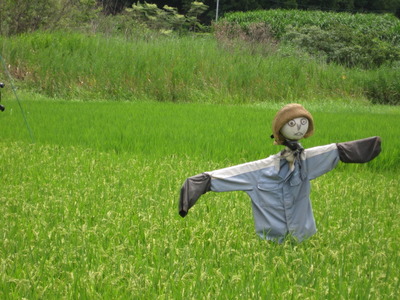 ごくろうさま（＾＾）ゝ