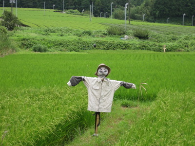 ごくろうさま（＾＾）ゝ