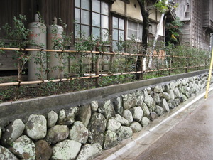 雨の散歩道　♪